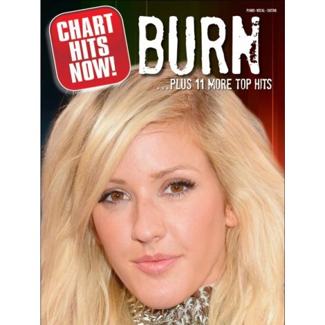 Chart Hits Now! Burn ...Plus 11 More Top Hits