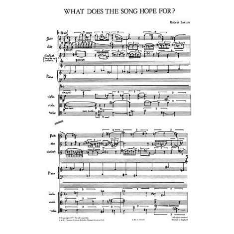 Robert Saxton: What Does The Song Hope For? (Study Score)