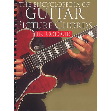 Encyclopedia Of Guitar